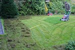 Onderhoud: Gazononderhoud